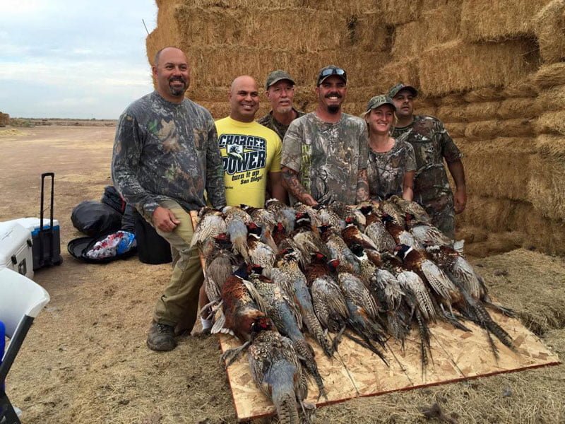 A group of people standing around a pile of dead birds.